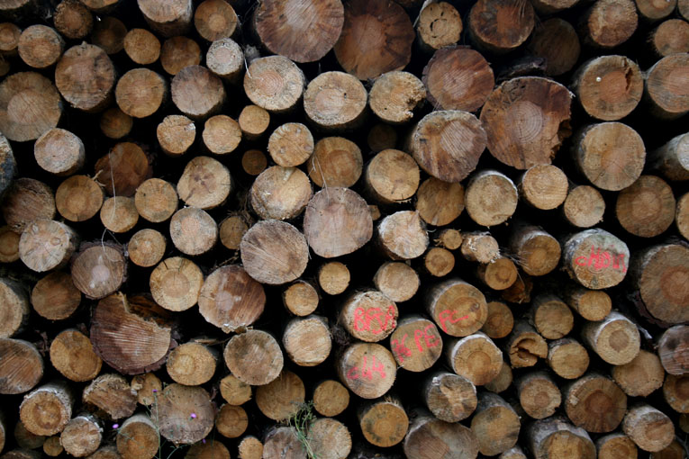 Holzstapel, Quelle: Michael Wölfer